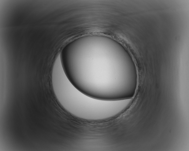 X0000088641169200705250913