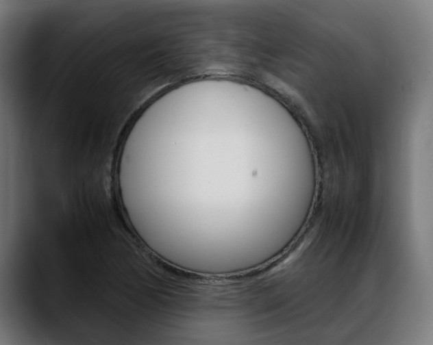 X0000088641170200705250913