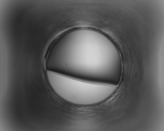 X0000088641175200705250912