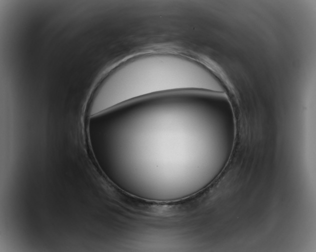 X0000088641176200705250912