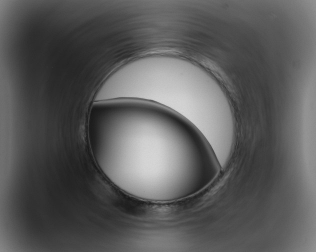 X0000088641177200705250912
