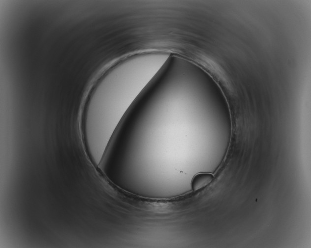 X0000088641180200705250912
