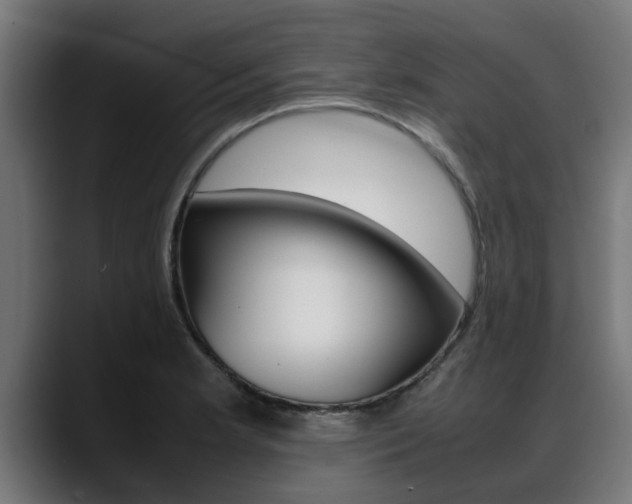 X0000088641181200705250912