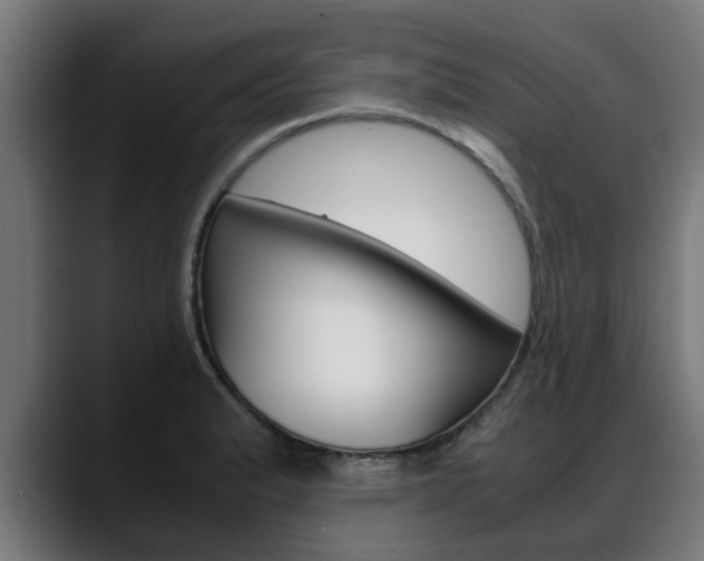 X0000088641183200705250912