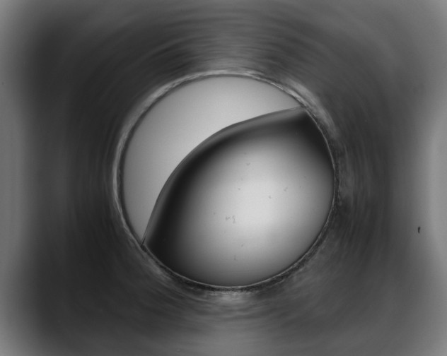 X0000088641188200705250912