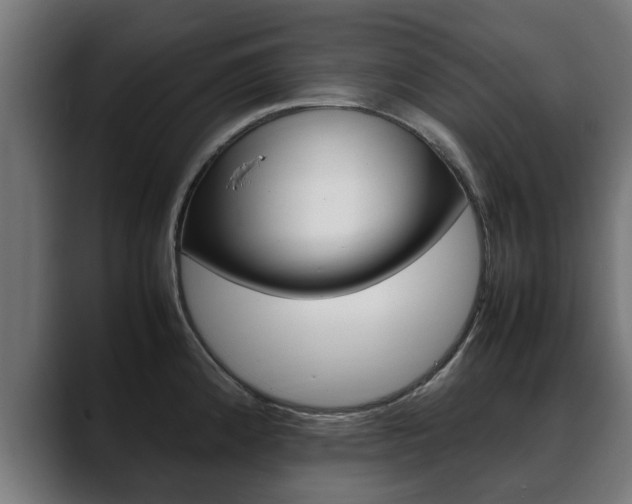 X0000088641192200705250912