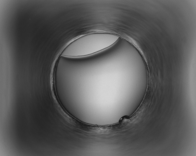 X0000088641195200705250912