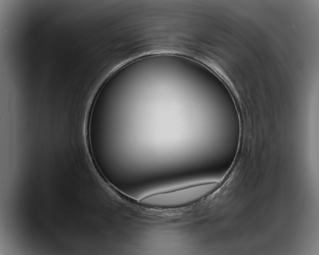 X0000088641197200705250912