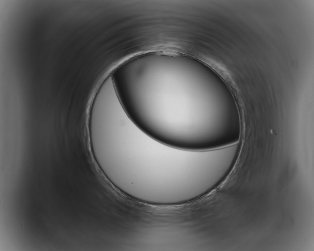 X0000088641200200705250912