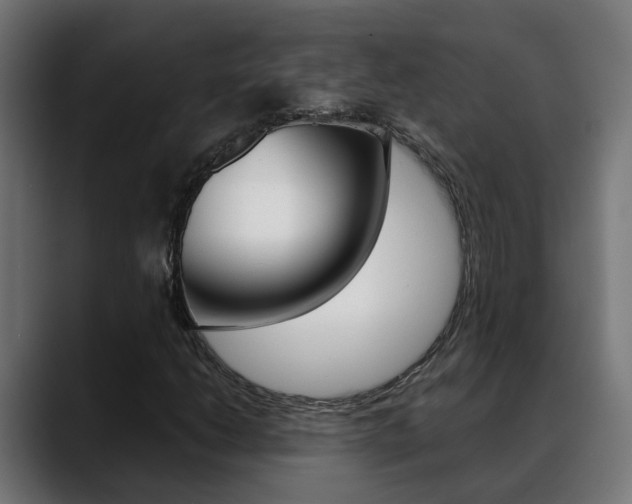 X0000088641206200705250912