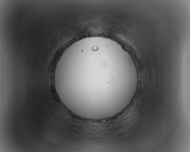 X0000088641207200705250912