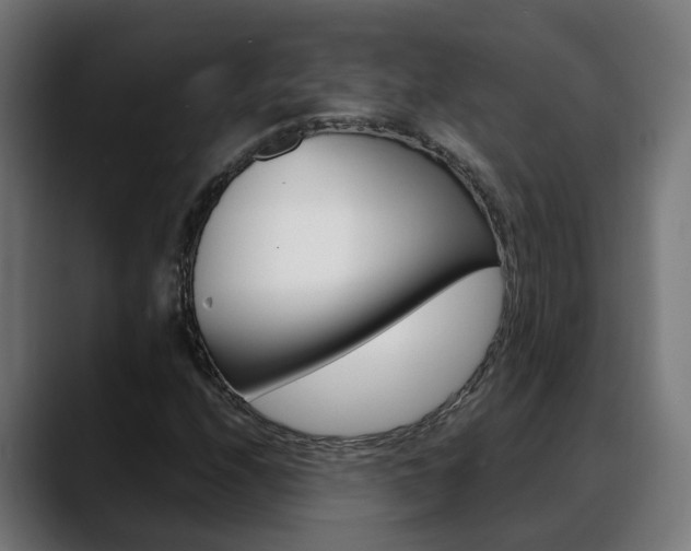 X0000088641208200705250912