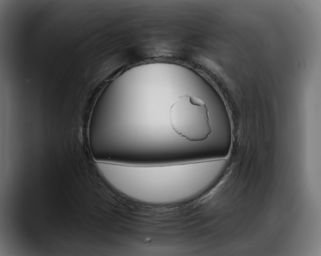 X0000088641209200705250912