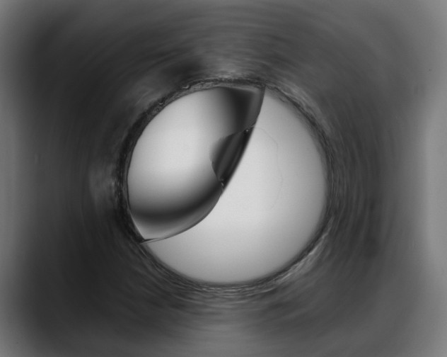 X0000088641210200705250912
