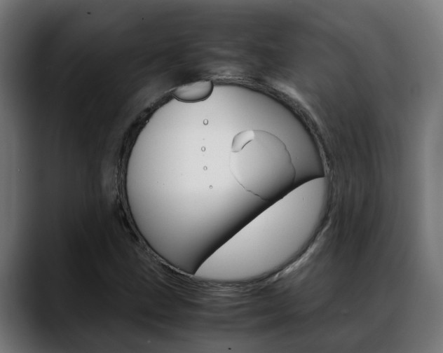 X0000088641211200705250912