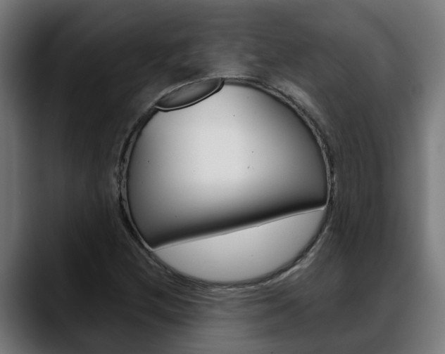 X0000088641212200705250912
