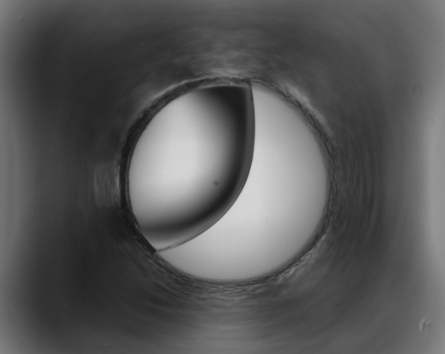 X0000088641214200705250912