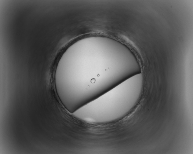 X0000088641215200705250912