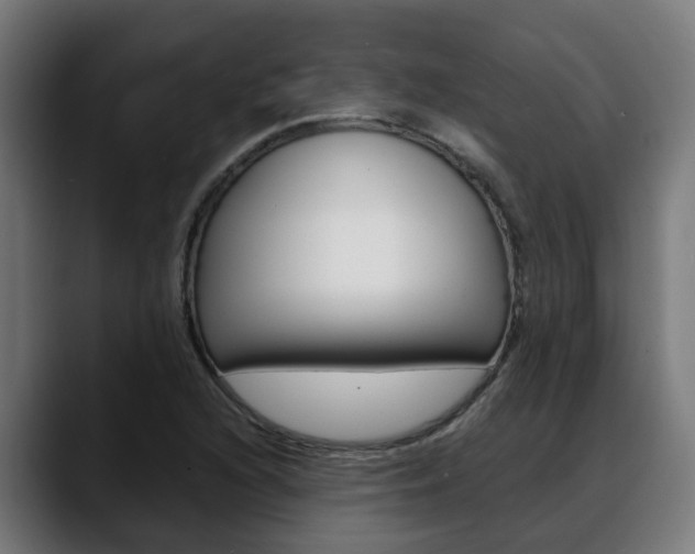 X0000088641216200705250912