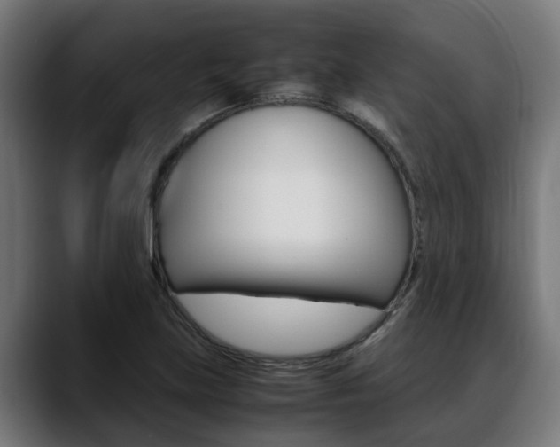 X0000088641219200705250912
