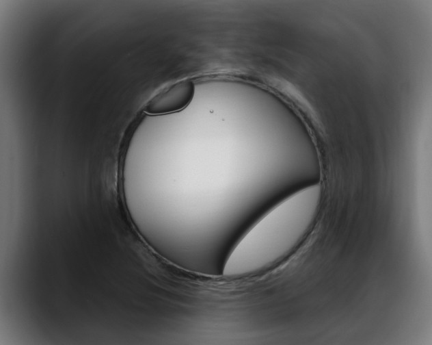 X0000088641220200705250912
