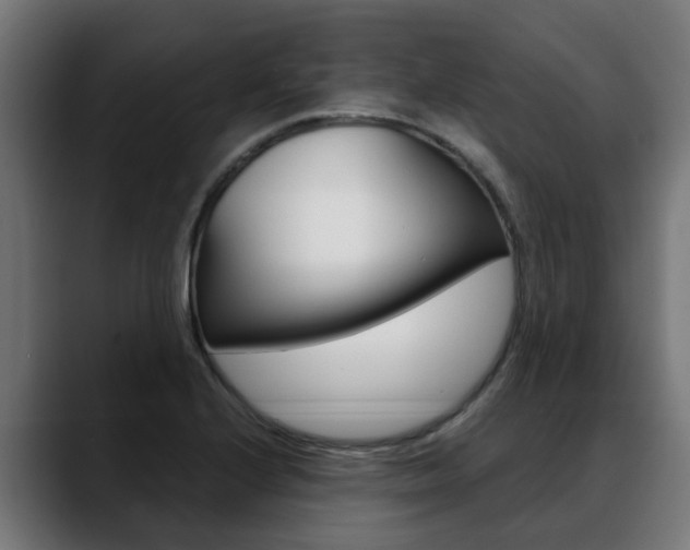 X0000088641224200705250912