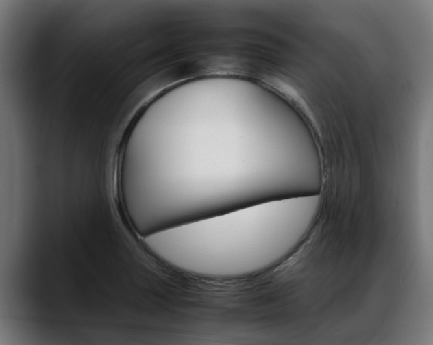 X0000088641227200705250912