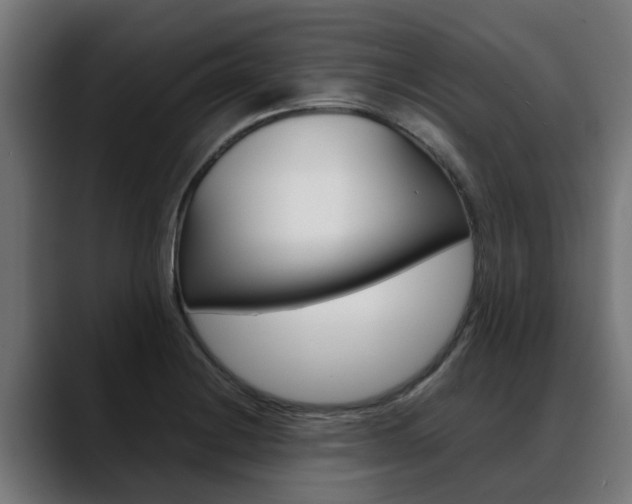 X0000088641228200705250912