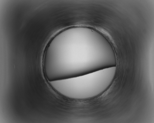 X0000088641231200705250912