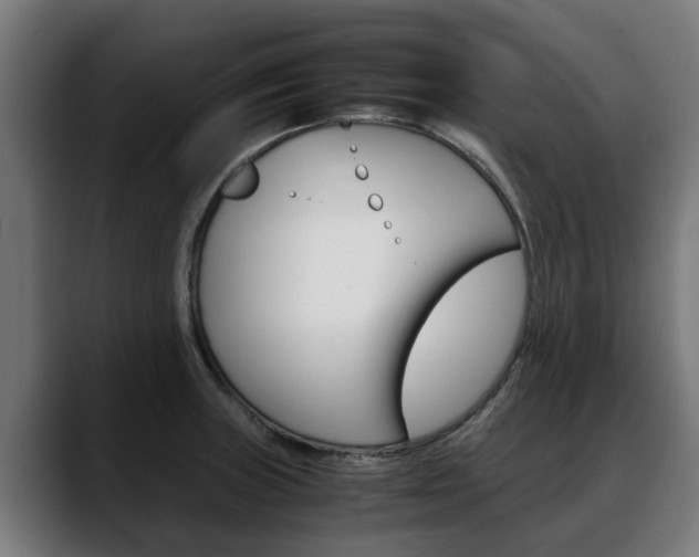 X0000088641235200705250912