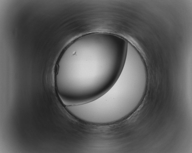 X0000088641238200705250912