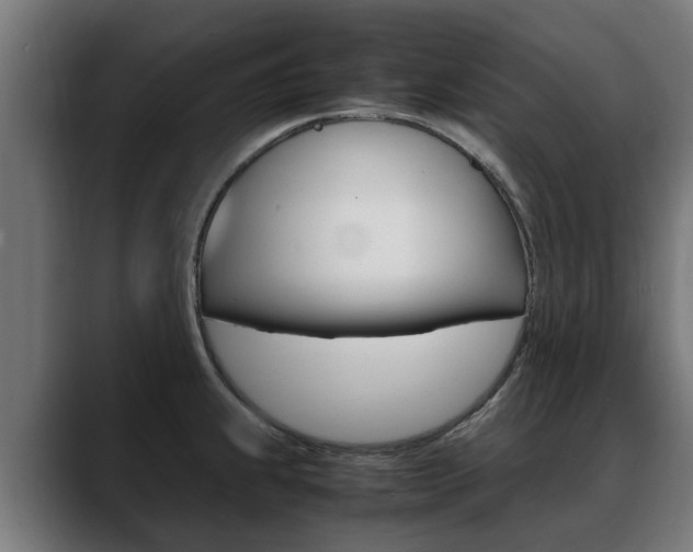 X0000088641239200705250912
