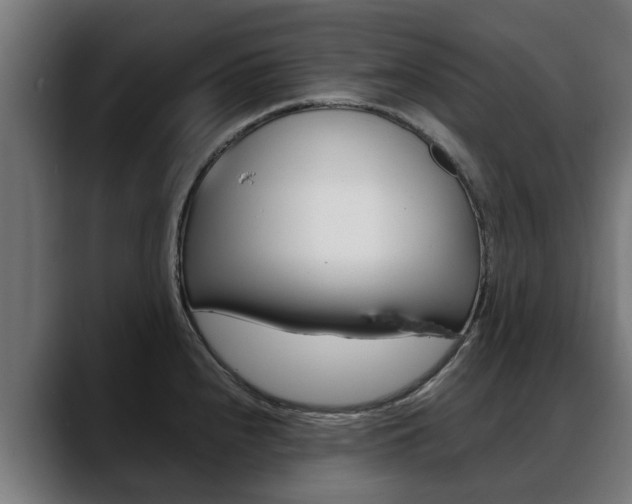 X0000088641240200705250912