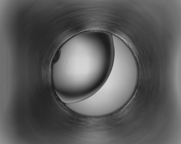 X0000088641242200705250912