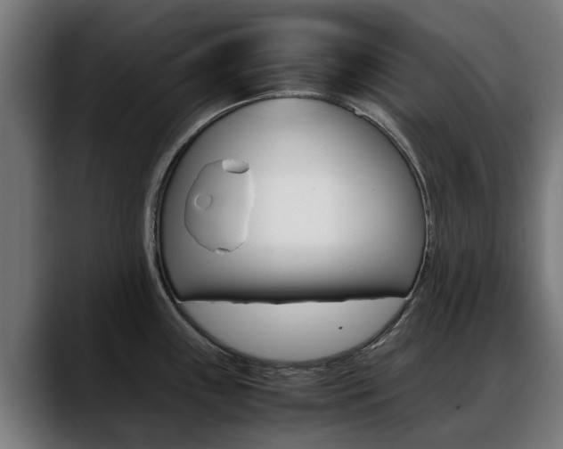 X0000088641243200705250912
