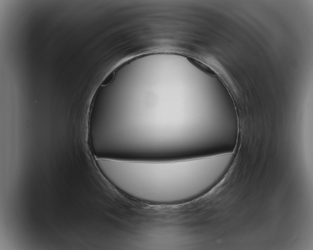 X0000088641244200705250912