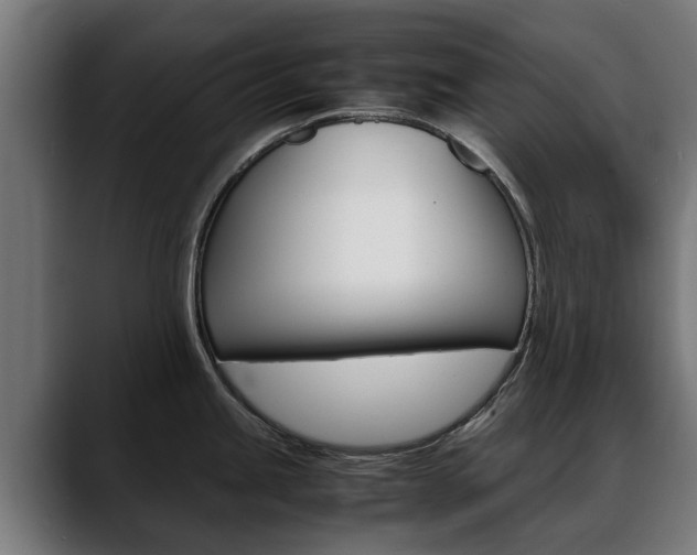 X0000088641245200705250912