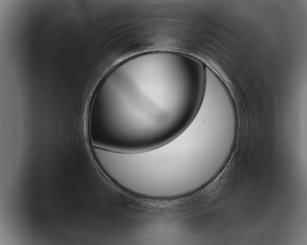 X0000088641246200705250912