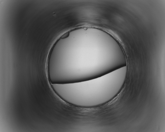 X0000088641247200705250912