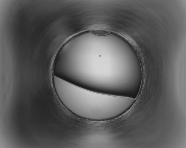 X0000088641248200705250912
