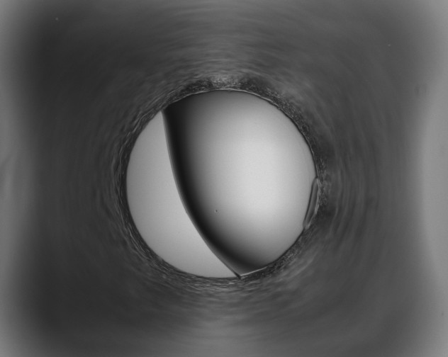 X0000088641249200705250911