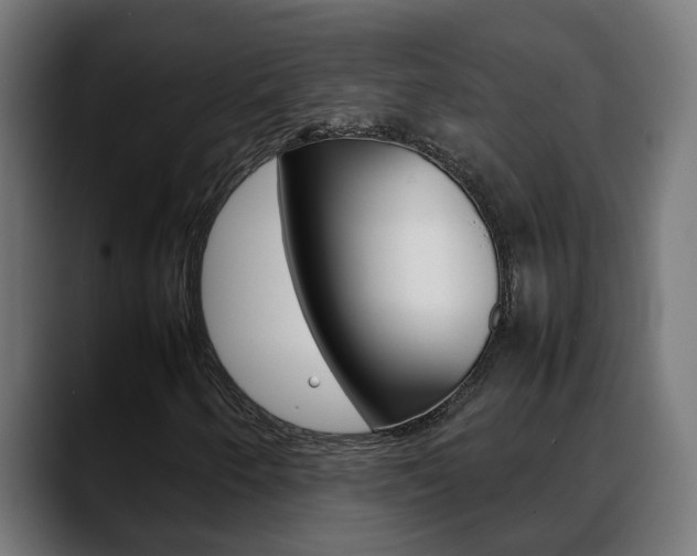 X0000088641250200705250911
