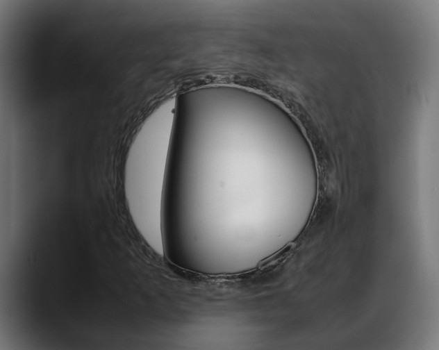 X0000088641253200705250911