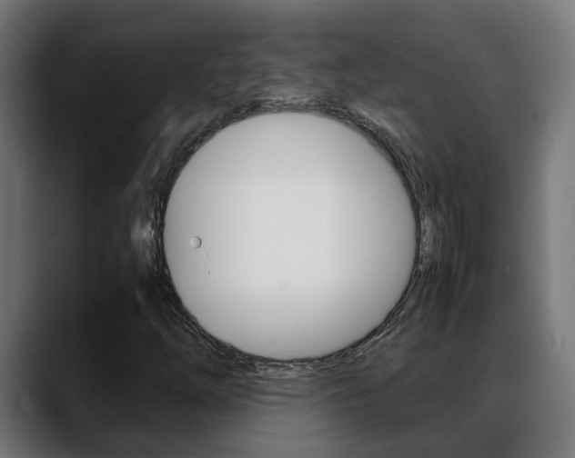 X0000088641254200705250911