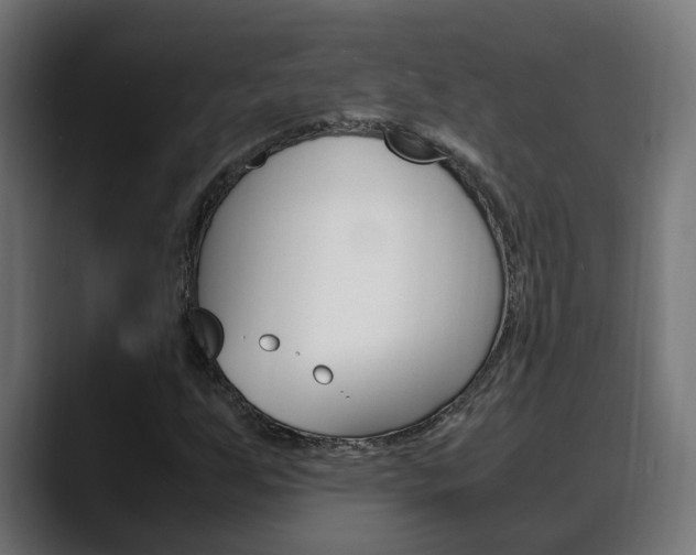 X0000088641255200705250911