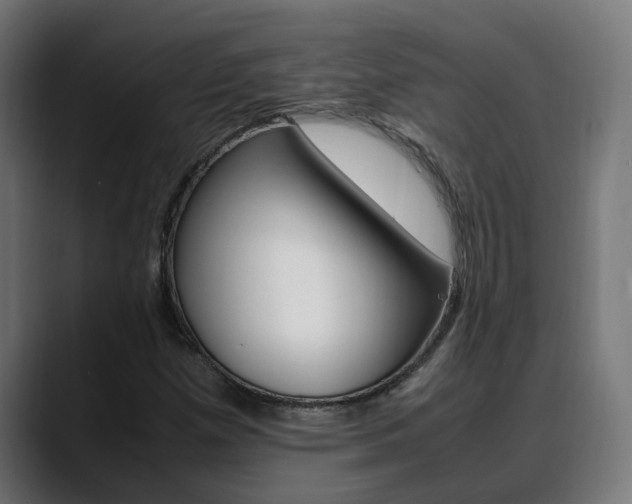 X0000088641257200705250911