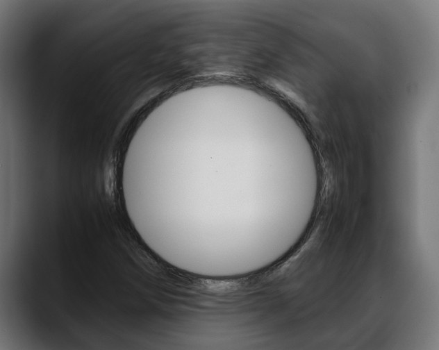 X0000088641258200705250911