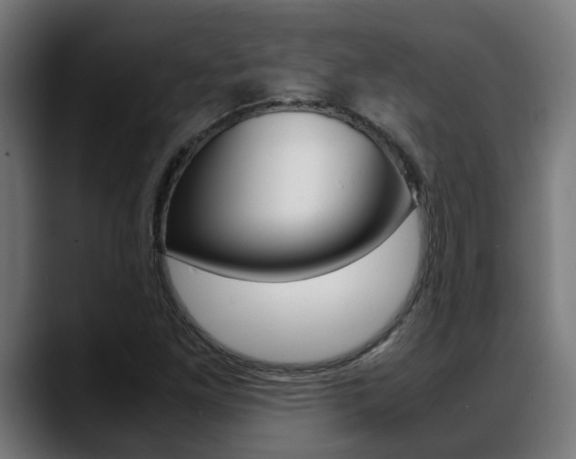 X0000088641261200705250911