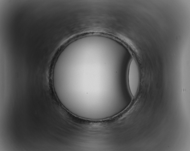 X0000088641264200705250911