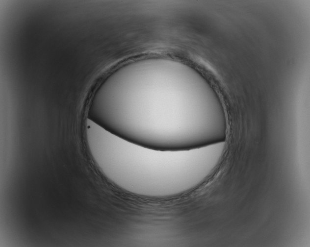 X0000088641267200705250911